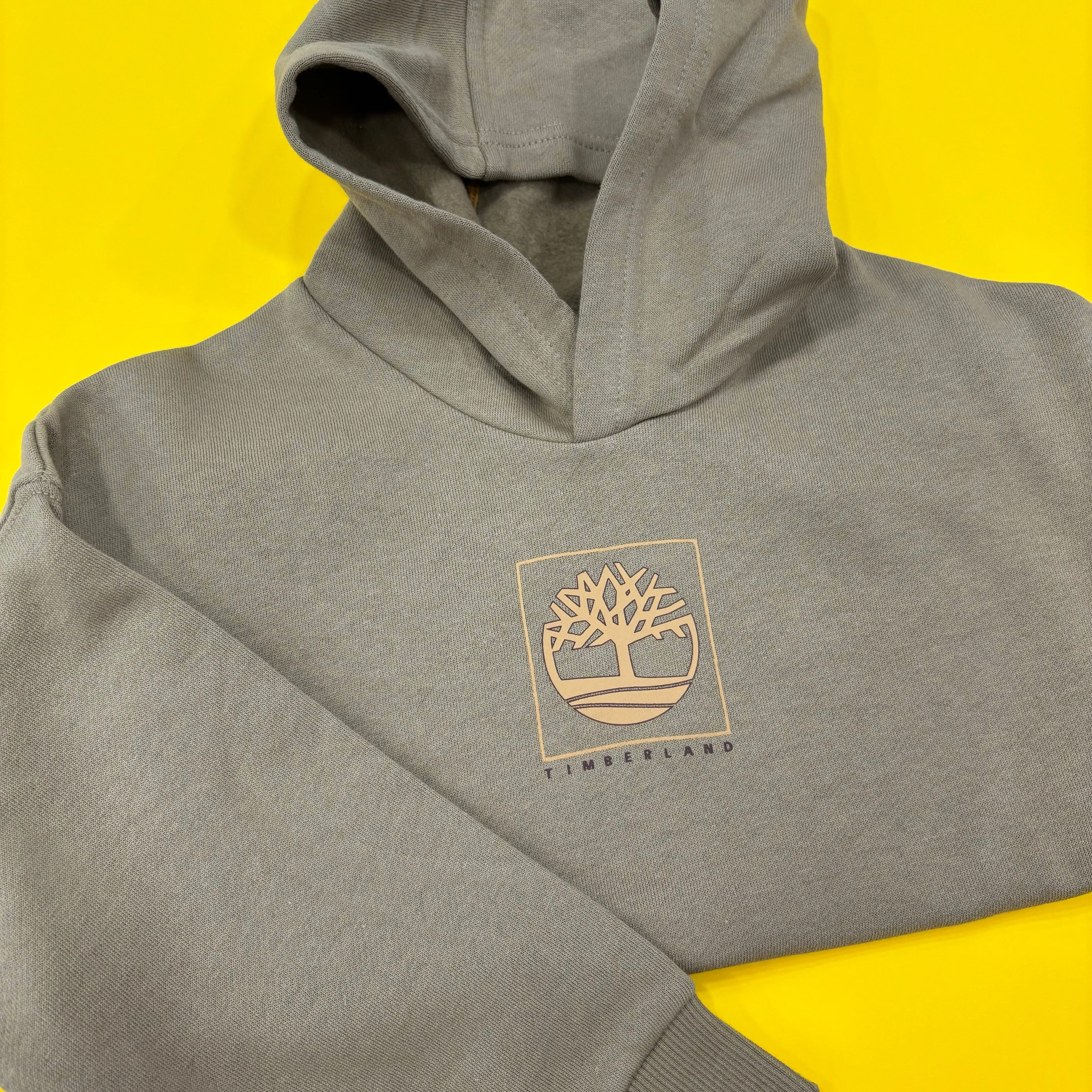 Timberland Boys Stone Hooded Sweatshirt